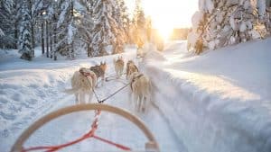De beste reistijd voor een Fins Lapland vakantie