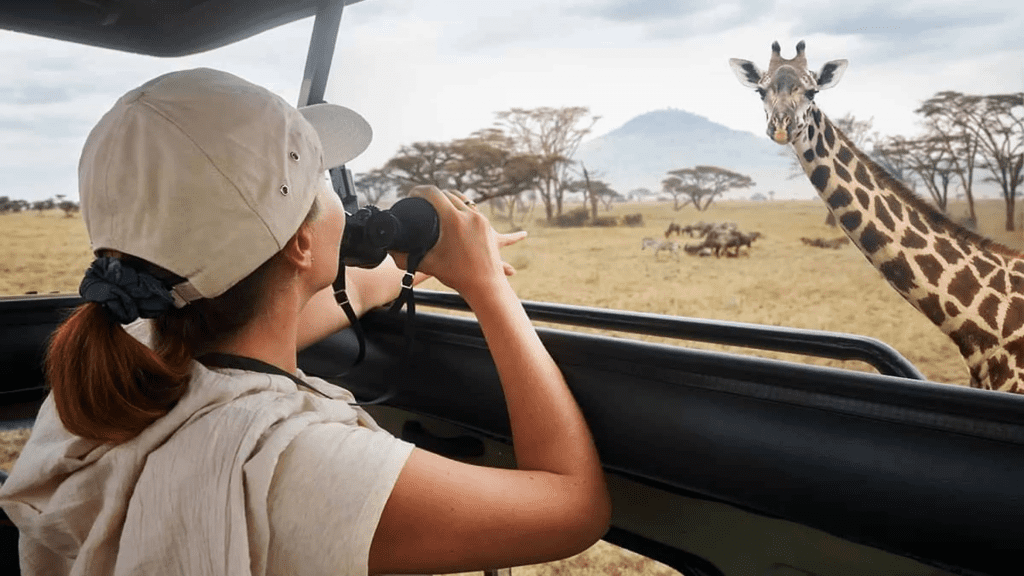 Wat is de beste reistijd voor een safari in Afrika?