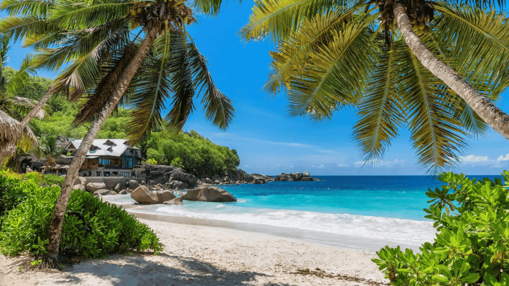 5 redenen waarom je naar Zanzibar moet gaan