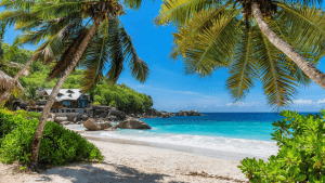 5 redenen waarom je naar Zanzibar moet gaan