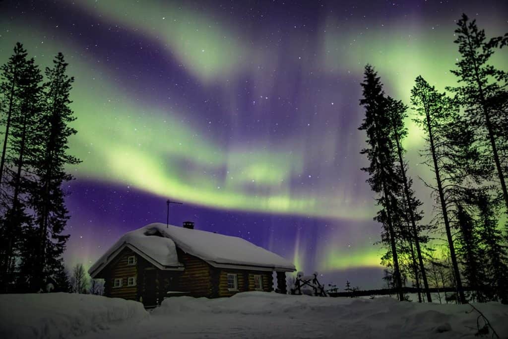 Besneeuwde hut en dennenbomen tijdens het noorderlicht in Lapland