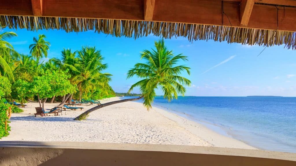 Uitzicht over het witte strand en palmbomen op de Malediven