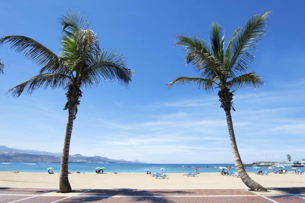 zonnig klimaat op Gran Canaria met palmbomen
