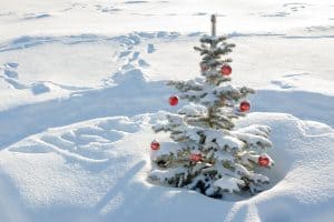 Een kerstboom met rode ballen in de sneeuw