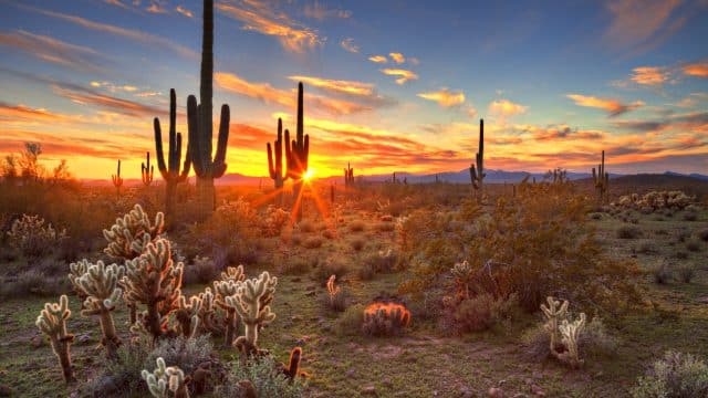 Clima Arizona ☀️ Temperatura 🌡️ Mejor época para viajar 🌦️ Tiempo