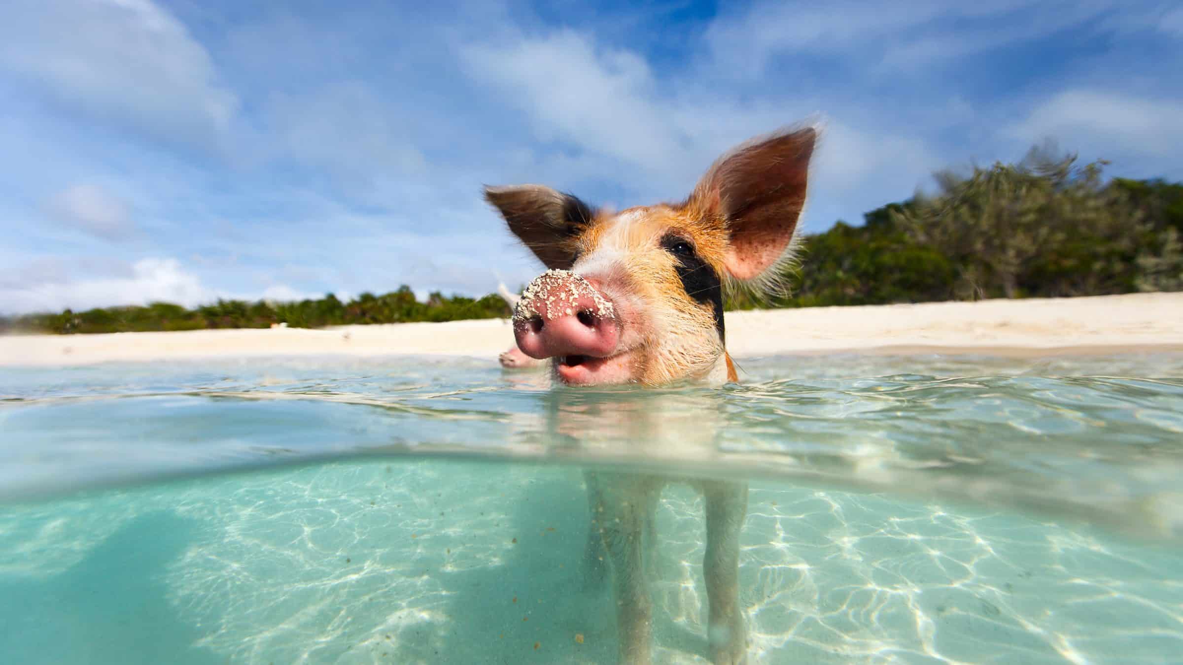 Bahamas climat ☀️ Quand partir 🌡️ Température