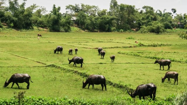 Weer in  Bangladesh in oktober