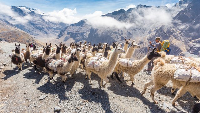 Weer in  Bolivia in december