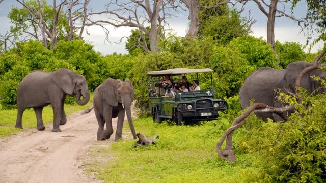 Weer in  Botswana in januari