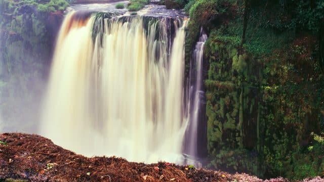 Het klimaat van Gabon en de beste reistijd