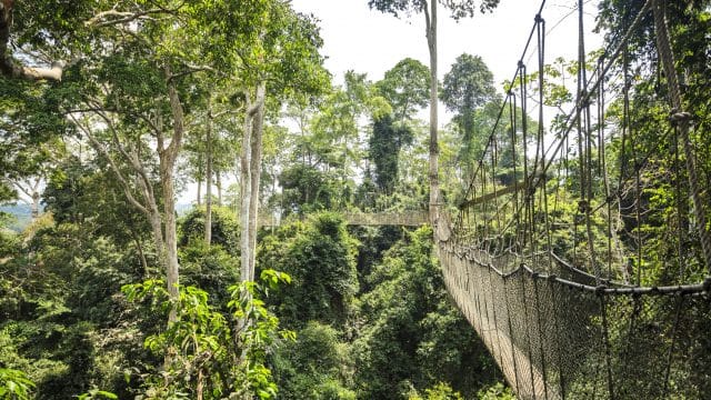 Het klimaat van Ghana en de beste reistijd