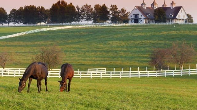 30-daagse weersverwachting Kentucky