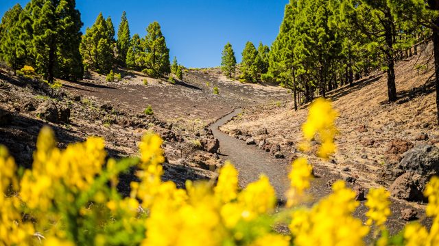 Weer op  La Palma in april