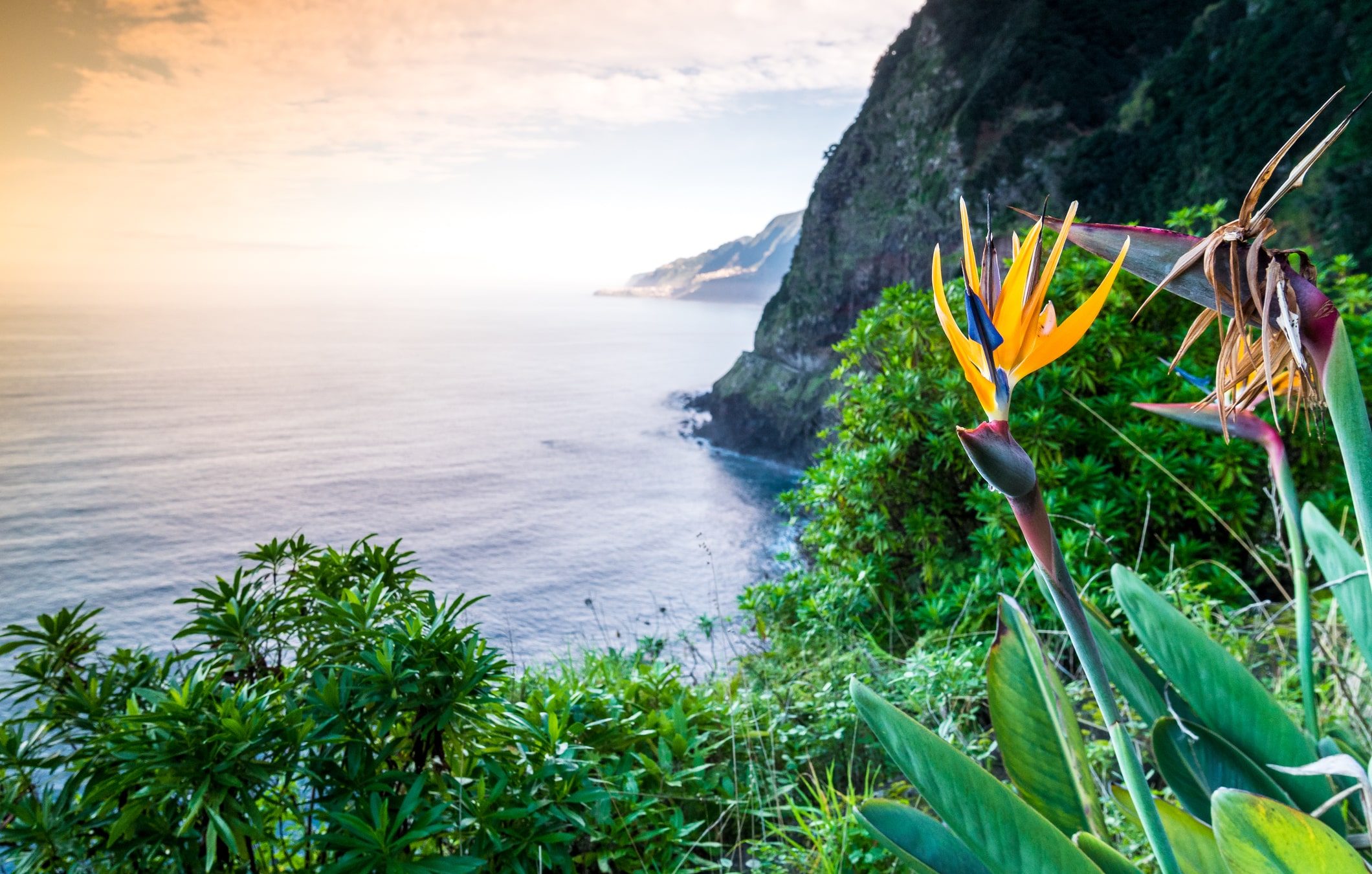 Het Weer Op Madeira In December