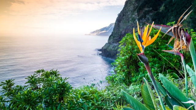 Weer in  Madeira in april