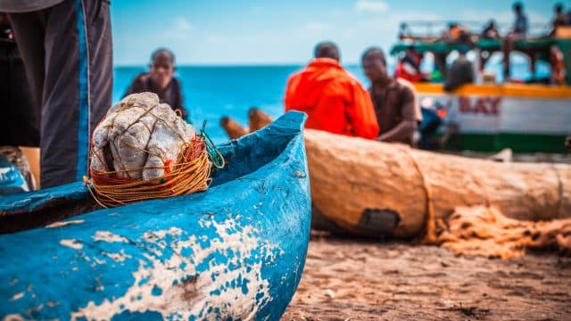 Weer in  Malawi in januari