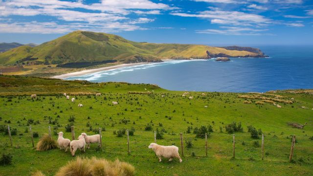 Klimaat Nieuw-Zeeland en beste reistijd