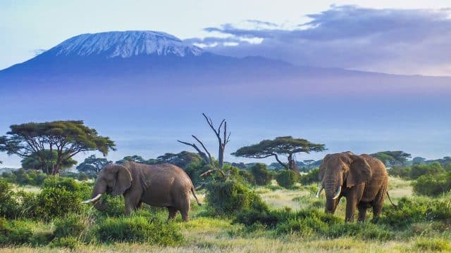 Weer in  Tanzania in oktober