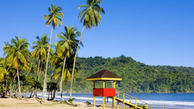 Clima Trinidad y Tobago y cuándo visitar