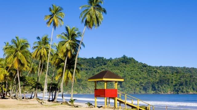 Weer op  Trinidad en Tobago in augustus