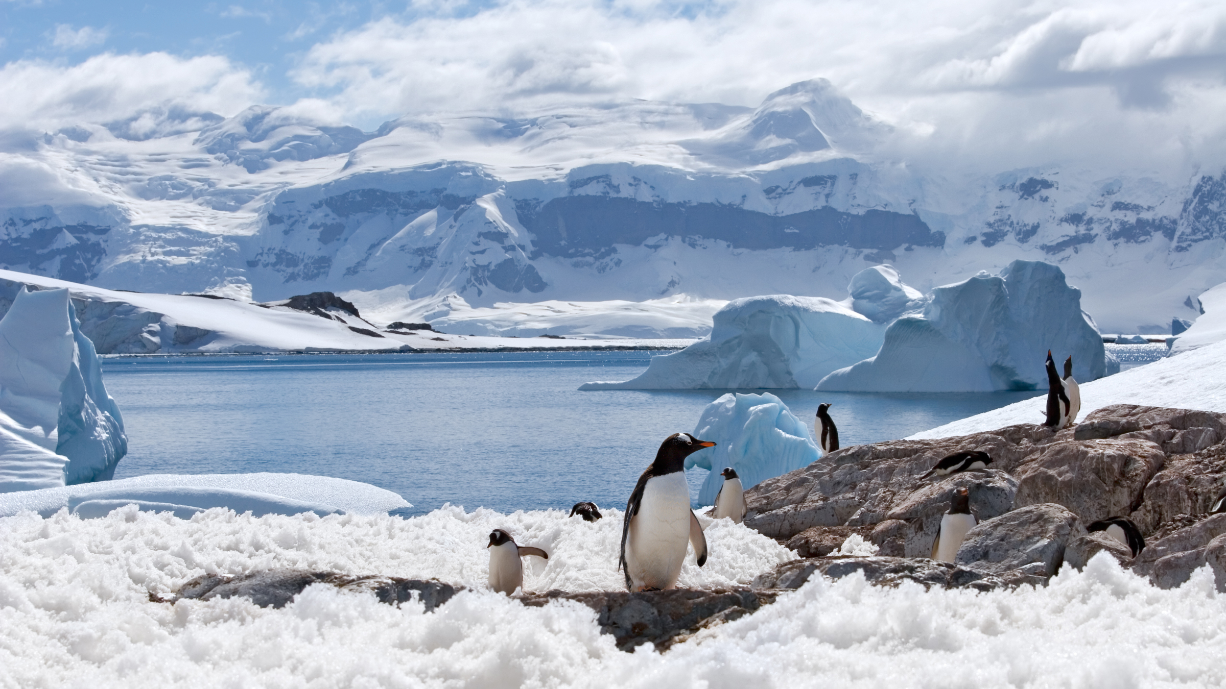 Antarctica weather and climate snow conditions best time to visit