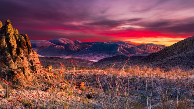 Parco nazionale di Big Bend