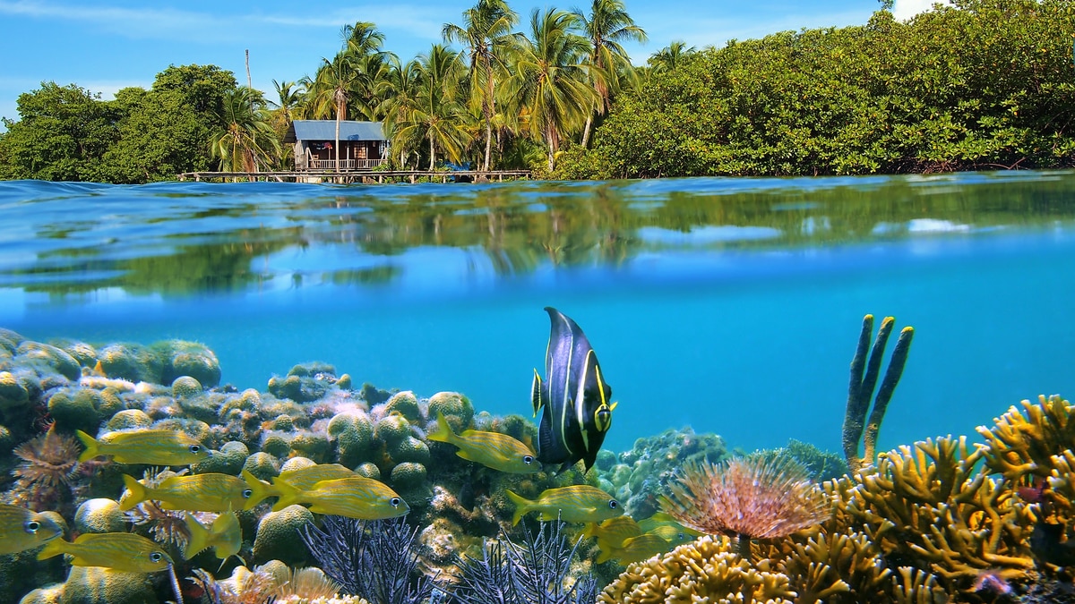 Klimatabelle Bocas Del Toro Wassertemperatur Beste Reisezeit Wetter