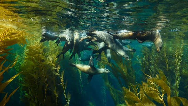 The climate of Channel Islands National Park