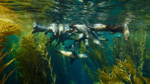 Weer in  Channel Islands National Park in april