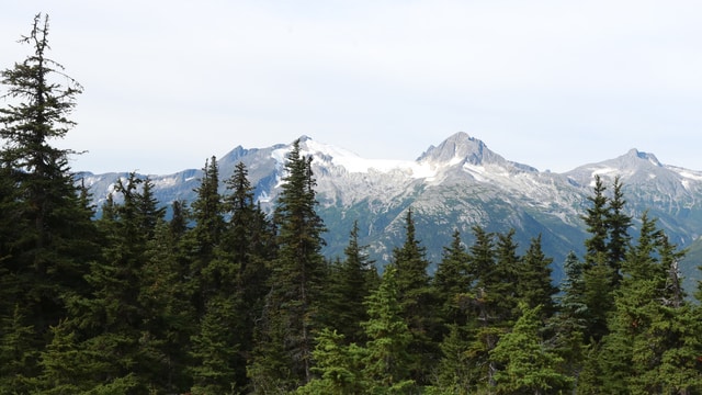 Parque nacional y reserva Puertas del Ártico