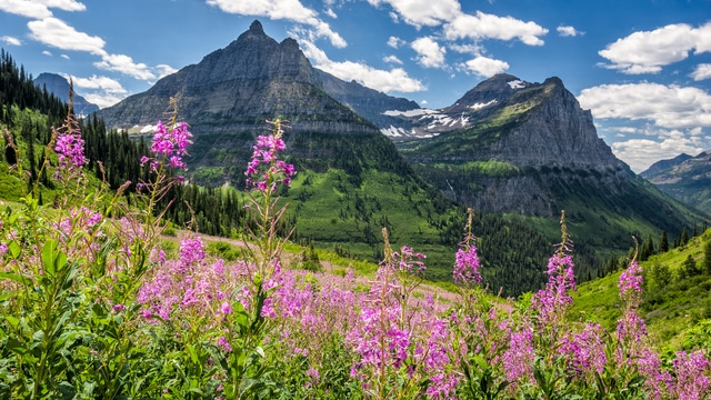 Weer in  Glacier National Park in juni