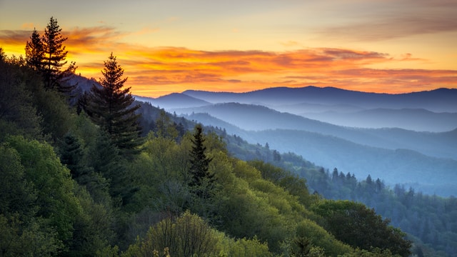 Weer in  Great Smoky Mountains National Park in juli