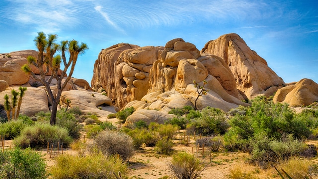 Klima v Joshua Tree National Park