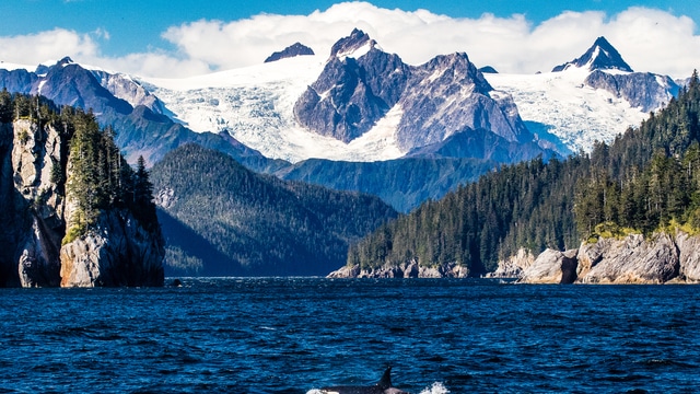 Klima v Kenai Fjords National Park