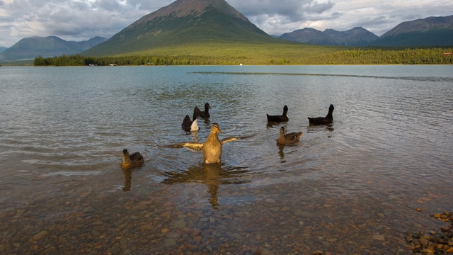 30-daagse weersverwachting Lake Clark National Park and Preserve