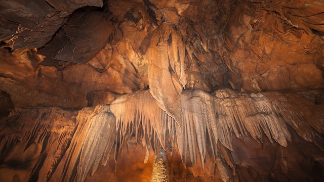 Klima v Mammoth Cave National Park