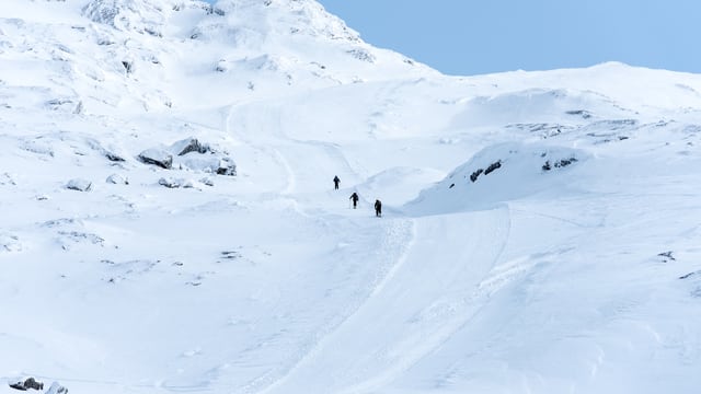 Weer in  Narvik in februari