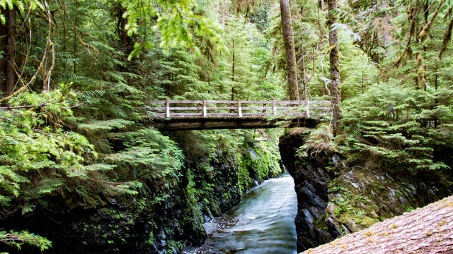 Klima v Olympic National Park