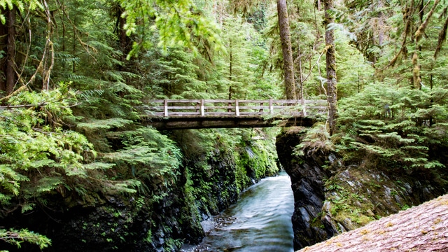 Weer in  Olympic National Park in september