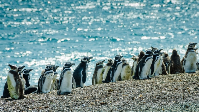 Weer in  Puerto Madryn in mei