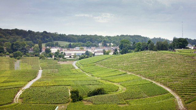 Das Klima von Épernay