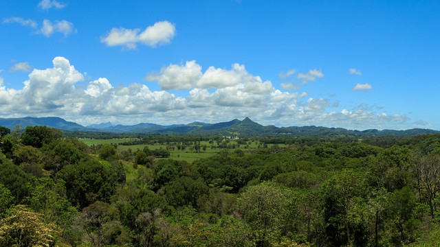 O clima de Mullumbimby