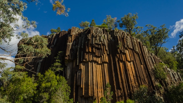 O clima de Narrabri West