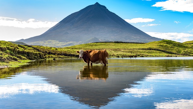 Het klimaat van Pico en de beste reistijd