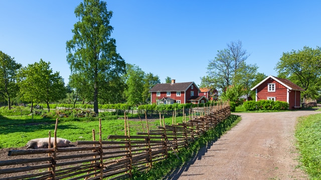 Beste reistijd, weer en klimaat Småland Beste reistijd, weer en klimaat Småland