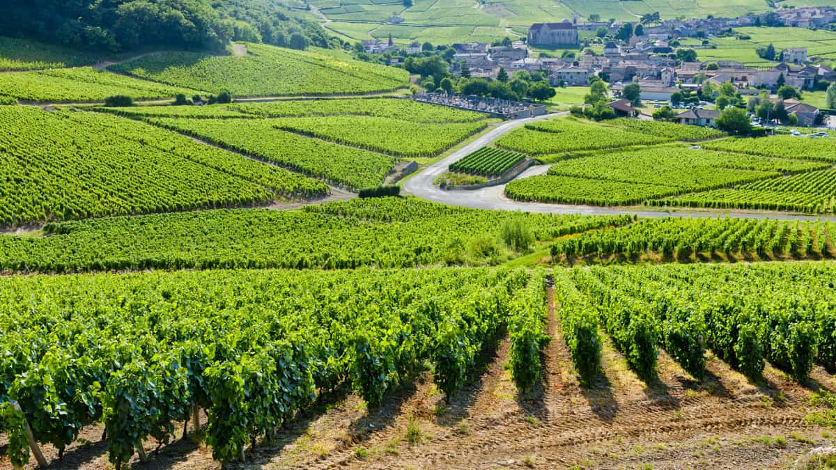 Het Weer In Bourgogne 14 Dagen Bourgogne weer en klimaat ☀️ Beste reistijd 🌦️️ Temperatuur