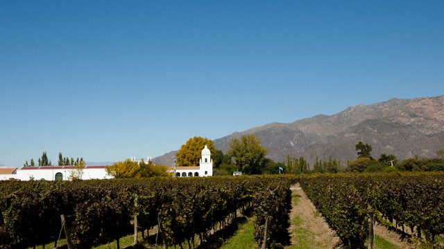 Weer in  Mendoza in januari