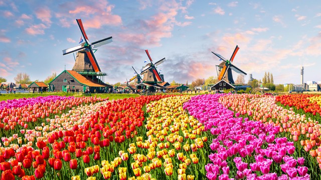 Clima Países Bajos y cuándo visitar