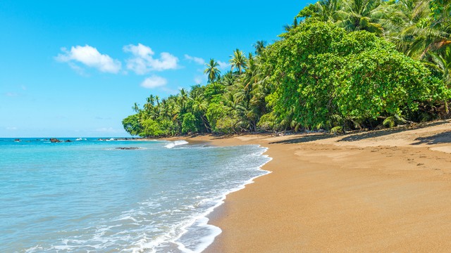 Das Wetter im August in Puerto Limón