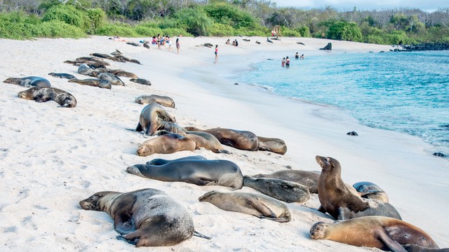 Das Klima von Galapagosinseln